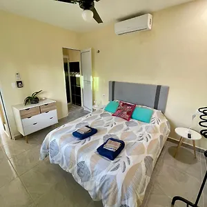 https://isla-bonita-isla-mujeres-centro.quintano-roohotels.com