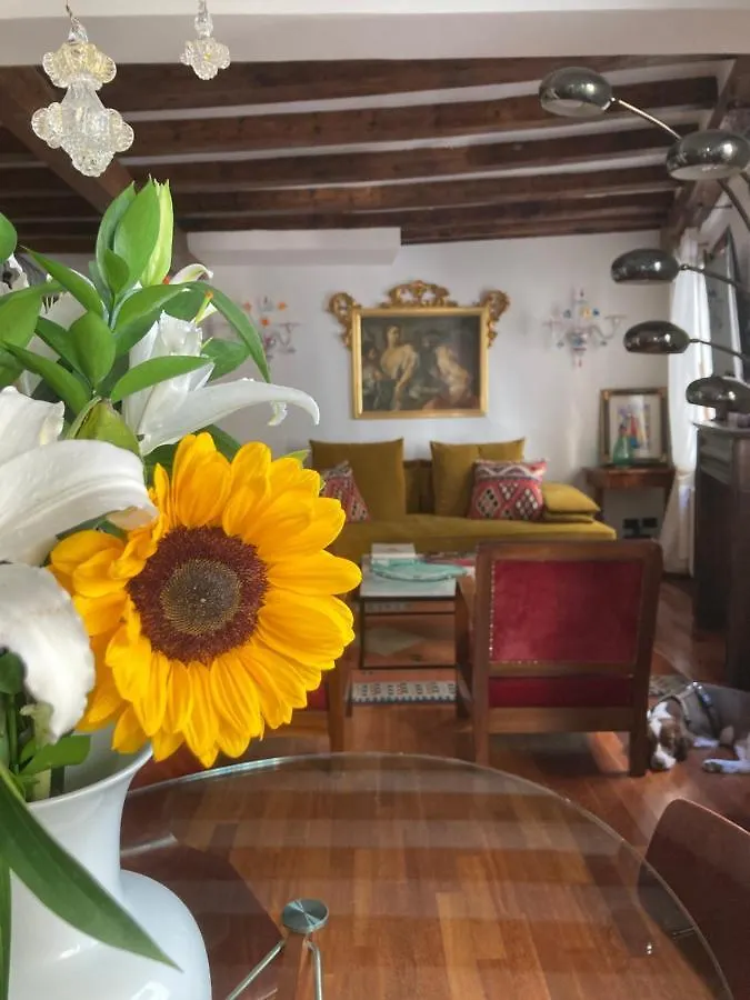 Ca' del Drago luxury apartment Venecia